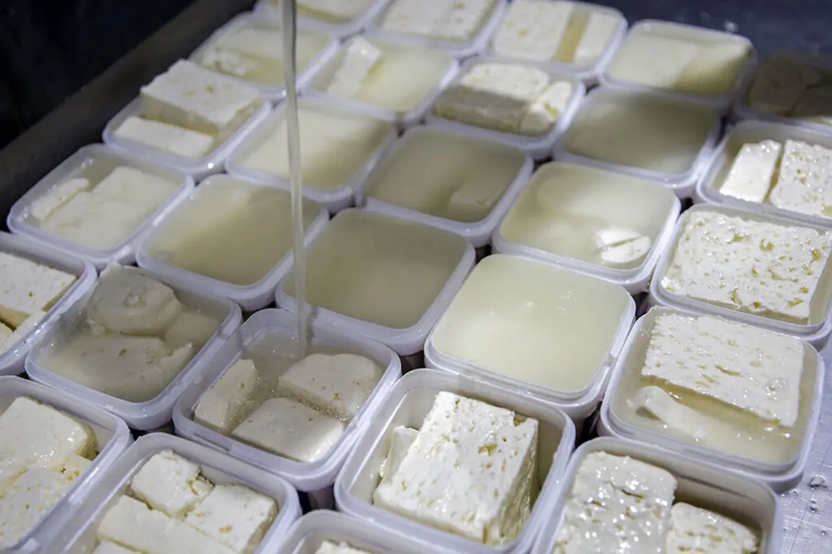پنیر گوسفندی هم لاکچری شد + جدول قیمت ارزان‌ترین پنیر سفیدهای بازار