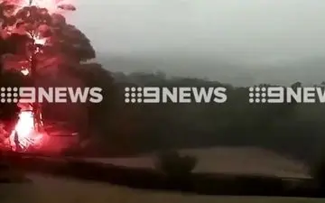  لحظه انفجار درخت تنومند پس از برخورد صاعقه +فیلم 