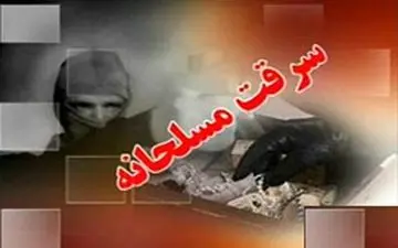 دستگیری 12 سارق مسلح در جنوب شرق کشور