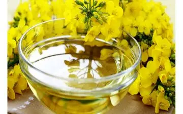این روغن موجب کاهش چربی دورشکمی می شود