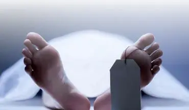 زن بازداشت شد؛ معمای قتل وکیل میان سه شهر/ ماجرای عجیب قتل یک وکیل ؛ شهریار، زنجان یا کرج؟