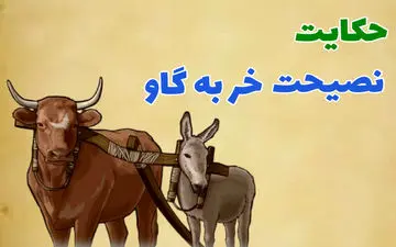 حکایت نصحیت خرکی/ نونت نبود، آبت نبود، نصیحت کردنت چی بود؟ 
