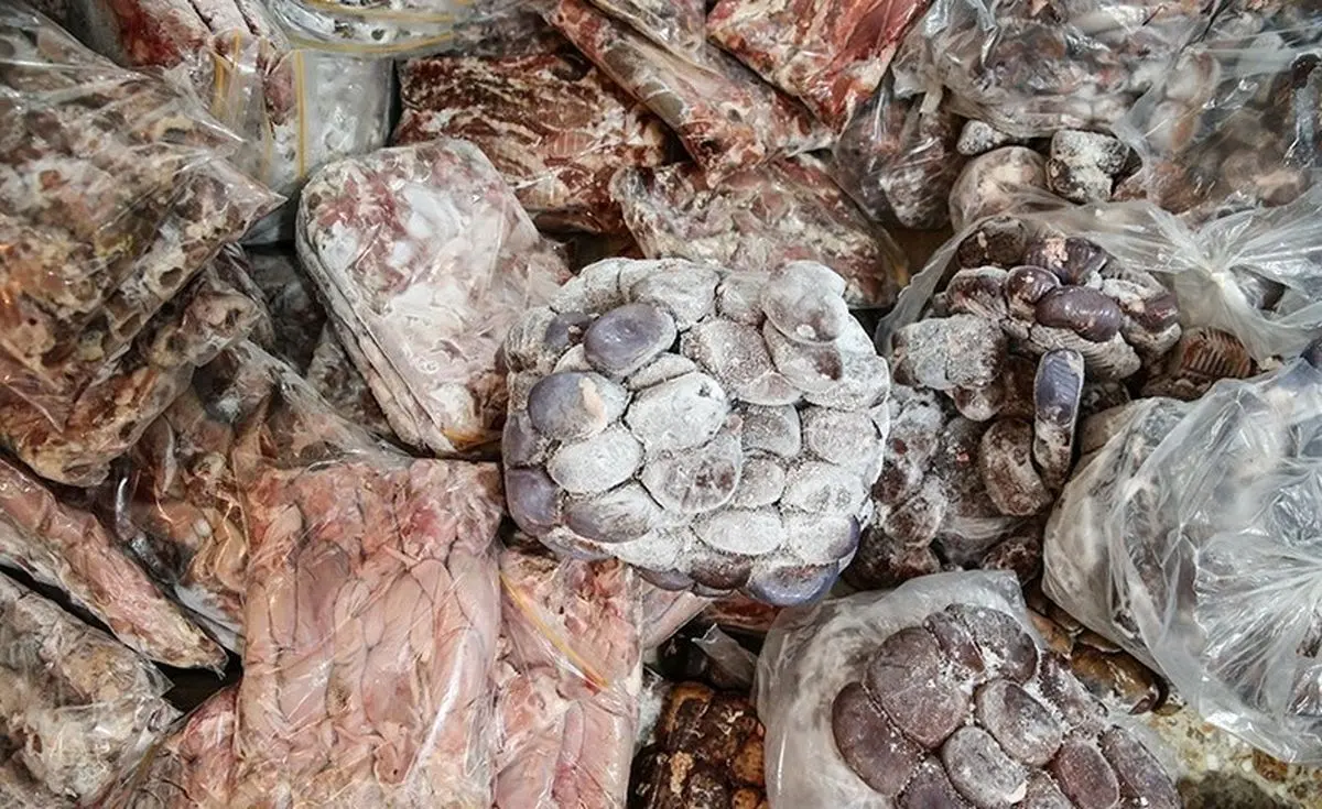  تهران| کشف ۲۵۰ کیلو گوشت فاسد از داخل پراید