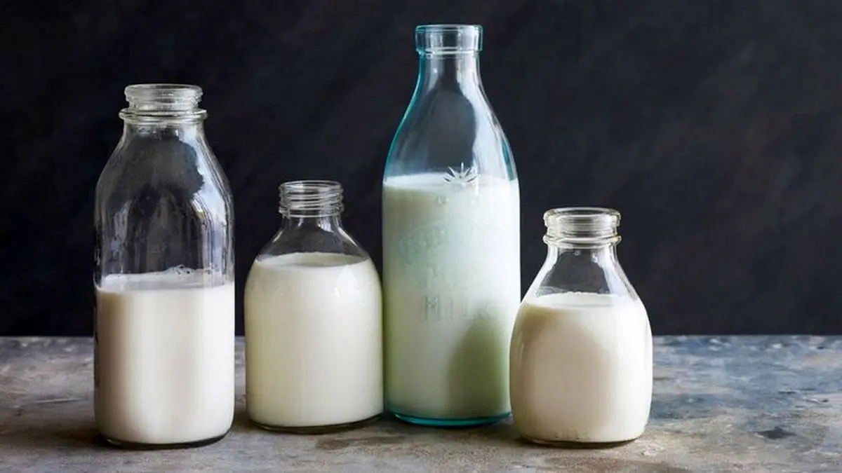 کدام مفیدتر است؟ نوشیدن شیر گرم یا سرد؟