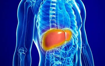 مهم‌ترین راه برای مقابله با کبد چرب