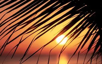 آسمان بیشتر مناطق کشور در سیزده بدر صاف و آفتابی است