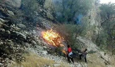 وقوع آتش سوزی در منطقه خور در لامرد