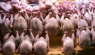 قیمت انواع مرغ امروز ۳۰ شهریور ۱۴۰۴ اعلام شد + جدول