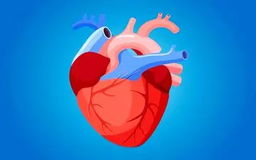 این گیاهان قلب‌مان را آرام می‌کنند

