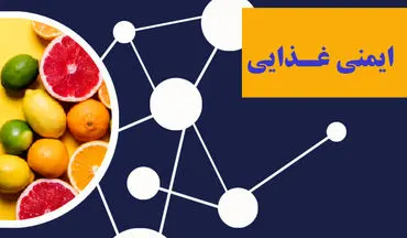 افزایش ایمنی مواد غذایی سالمندان با این ترفندها