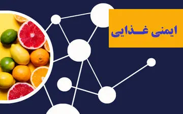 افزایش ایمنی مواد غذایی سالمندان با این ترفندها