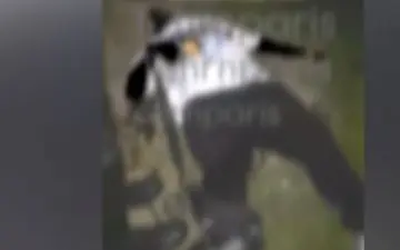 جزئیات قتل خونین مرد جوان در خیابان دماوند توسط اراذل و اوباش +  جزئیات