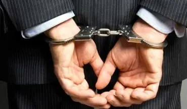 دستگیری سارق با ۳۵ فقره سرقت در بیرجند
