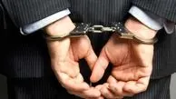دستگیری سارق با ۳۵ فقره سرقت در بیرجند
