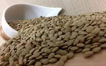 آشنایی با فواید فراوان عدس