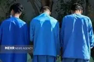 پایان آشوب در پارک‌های بروجرد: ضربه کاری پلیس به مخلان امنیت!
