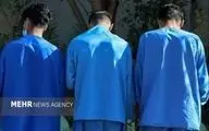 پایان آشوب در پارک‌های بروجرد: ضربه کاری پلیس به مخلان امنیت!
