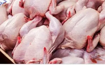 قیمت مرغ پَر کشید!