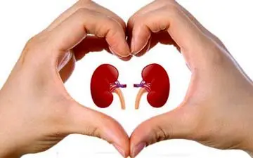 درمان مشکلات کلیوی با این ۱۰ گیاه معجزه‌گر