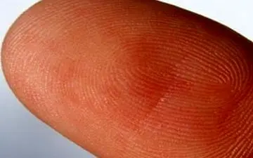 راز خطوط منحنی در دست‌ و پا های انسان