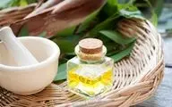 فواید روغن اکالیپتوس برای تنفس بهتر؛ راهکاری طبیعی برای کاهش مشکلات تنفسی
