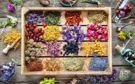 هشدار؛ عوارض مصرف خودسرانه گیاهان دارویی برای سلامتی
