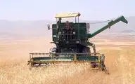 میزان تولید گندم در سالِ جاری یک میلیون تن افزایش می‌یابد
