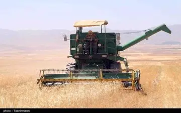 میزان تولید گندم در سالِ جاری یک میلیون تن افزایش می‌یابد