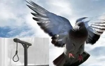 معجزه زیر طناب دار برای پسر ترکمن ! + جزییات