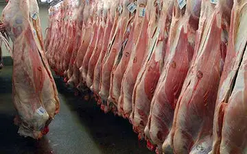 کاهش قیمت گوسفند و افزایش قیمت گوشت گوساله