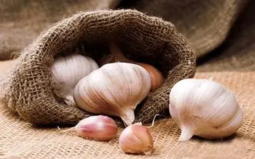 مصرف سیر چه فواید و خطراتی به همراه دارد؟