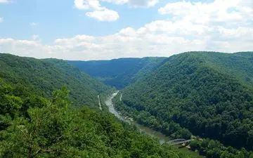 سفر به جنگل های هیرکانی با 40 میلیون سال قدمت