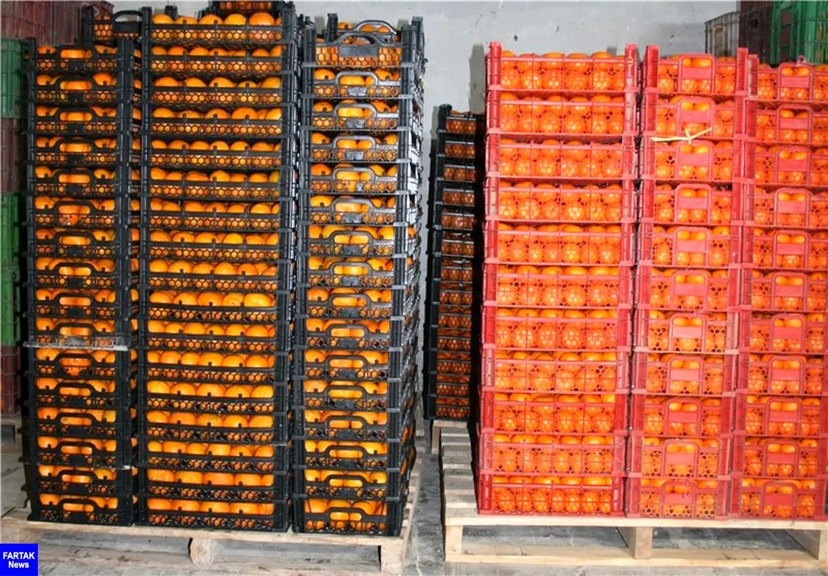 صادرات سیب و پرتقال آزاد شد
