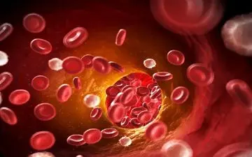 خوراکی هایی جهت بهبود گردش خون