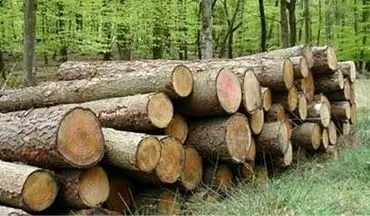 کشف 20 تن چوب قاچاق در اسلام آباد غرب 
