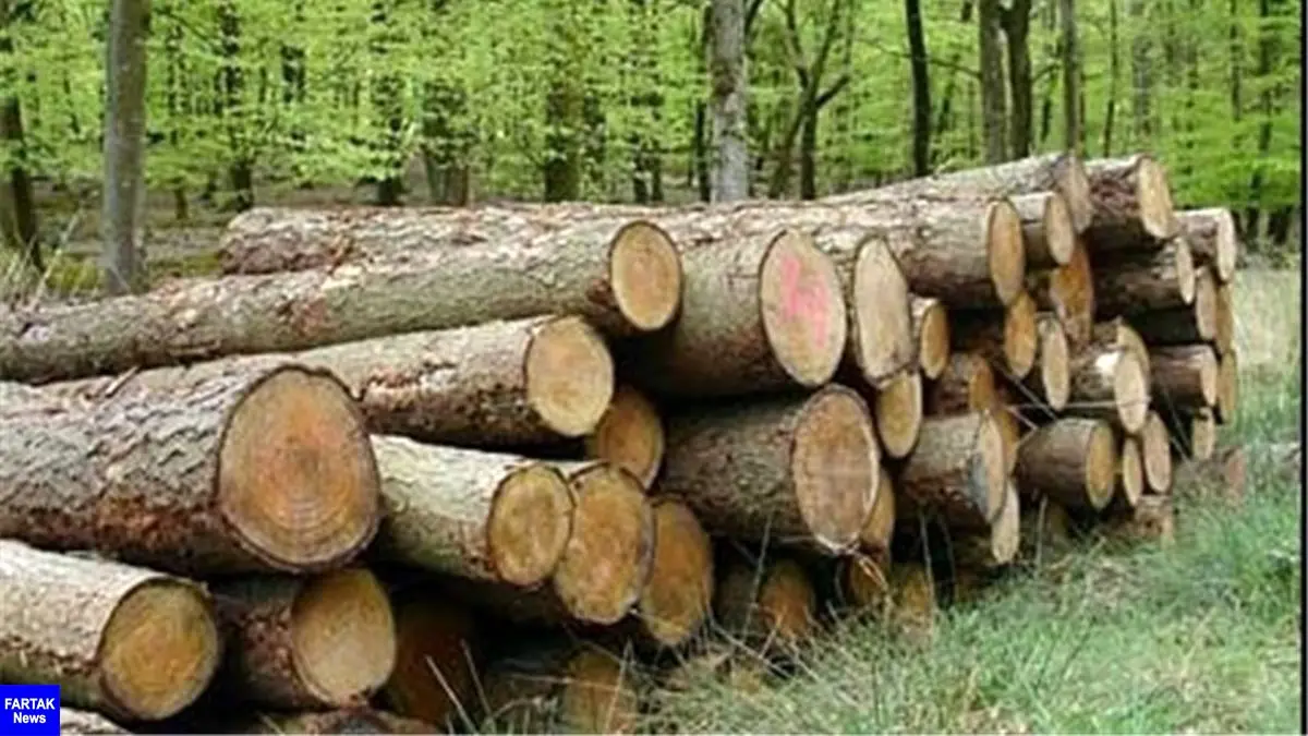 کشف 20 تن چوب قاچاق در اسلام آباد غرب 