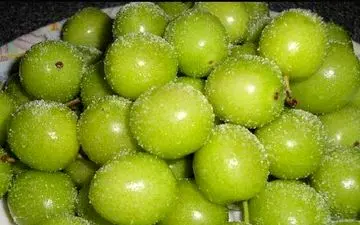 خواص درمانی گوجه‌ سبز یکی از میوه‌های فصل بهار!