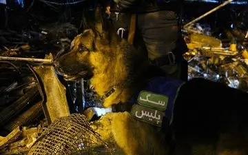 محل جسد یکی از آتش‌نشانان شناسایی شد 