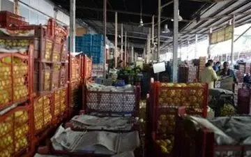  ساعت کار میادین میوه و تره بار در آستانه سال نو مشخص شد