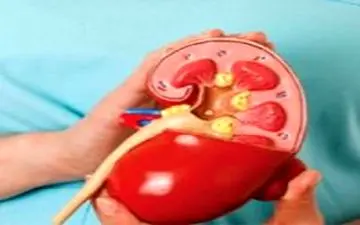  عفونت ادراری سلامت کلیه کودکان را تهدید می کند