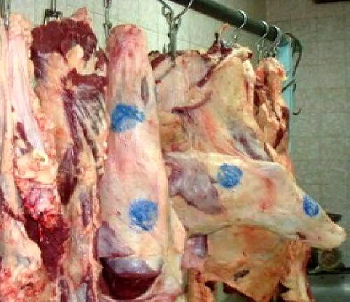 شهروندان گوشت را فقط از مراکز مجاز تهیه کنند