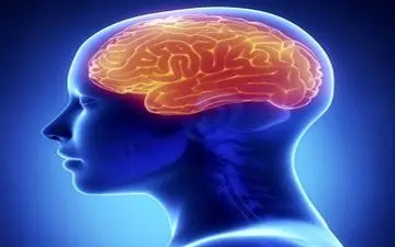  با این گیاهان مغزتان را شارژ کنید