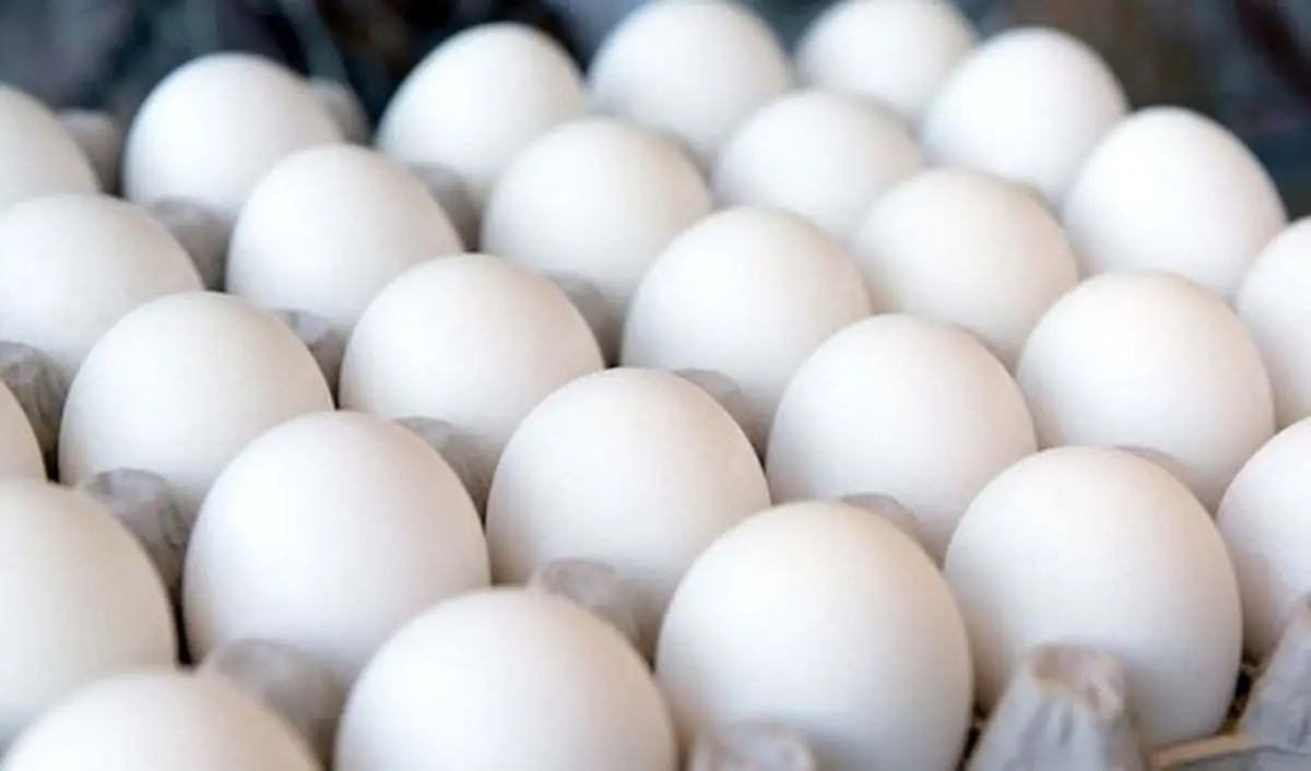 اطلاعیه ستاد تنظیم بازار درباره کاهش قیمت تخم‌مرغ