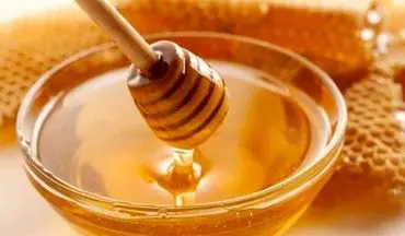 کشف عسل 300هزار ساله در اهرام مصر/ قابل مصرف است!