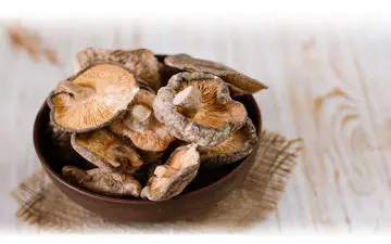 مصرف قارچ شیتاکه؛ راز جدید حفظ سلامت روده و تقویت سیستم ایمنی