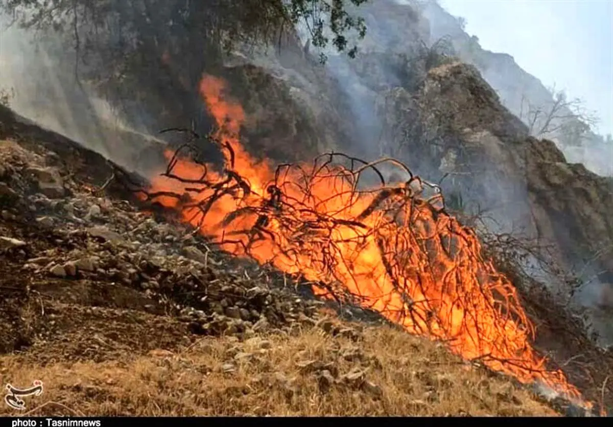 آتش‌سوزی جنگل‌ها و مراتع ارسنجان؛ ۱۵۰ هکتار طعمه حریق شد‌