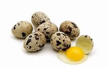 با خواص تخم بلدرچین آشنا شوید