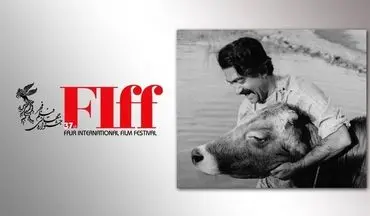 سی‌و‌هفتمین جشنواره جهانی فیلم فجر| پخش فیلمی دیده نشده از پشت‌صحنه «گاو»