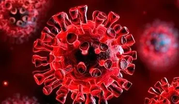 اسپری بینی رشد ویروس کرونا را کاهش می‌دهد