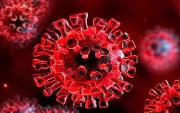 اسپری بینی رشد ویروس کرونا را کاهش می‌دهد